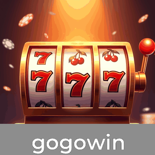 Experimente o acesso seguro premium no gogowin